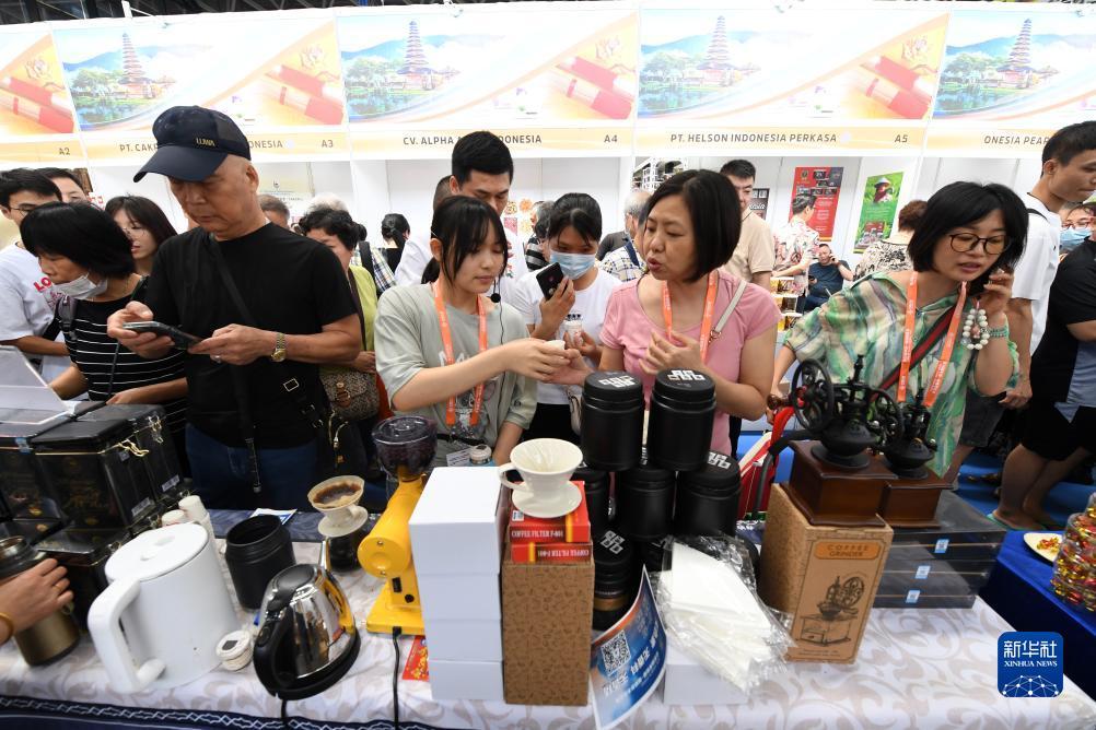 大赢家官网登录网址